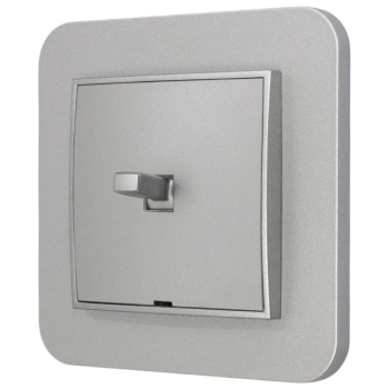 Włącznik pojedynczy w stylu USA ramka zaokrąglona seria Mini kolor srebrny