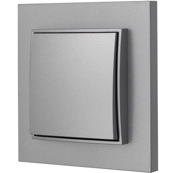 Włącznik pojedynczy z ramką karlik mini kolor srebrny