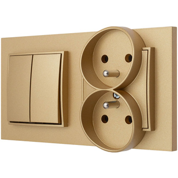 Włącznik z gniazdkiem podwójnym kolor złoty 10